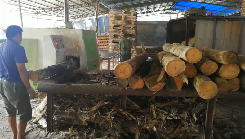 大型圓木多片鋸散熱不好是怎么回事？多片鋸鋸片不是直接原因。然后看的是多片鋸鋸片與傳動裝置平不平行，出現(xiàn)夾角，造成多片鋸鋸片增加摩擦，產(chǎn)生大量的摩擦熱，燒壞鋸片；